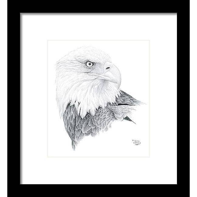 Bald Eagle Portrait - Framed Print | Artwork by Glen Loates