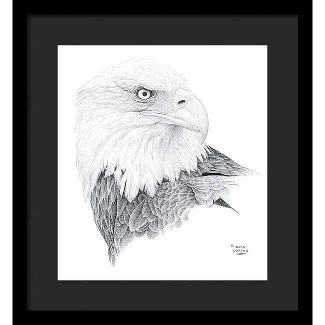 Bald Eagle Portrait - Framed Print | Artwork by Glen Loates
