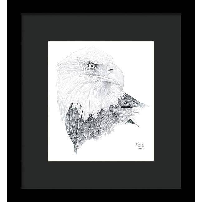 Bald Eagle Portrait - Framed Print | Artwork by Glen Loates