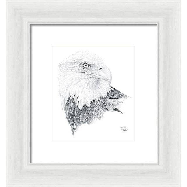 Bald Eagle Portrait - Framed Print | Artwork by Glen Loates