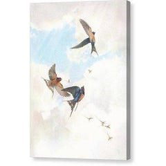 Gallery Canvas