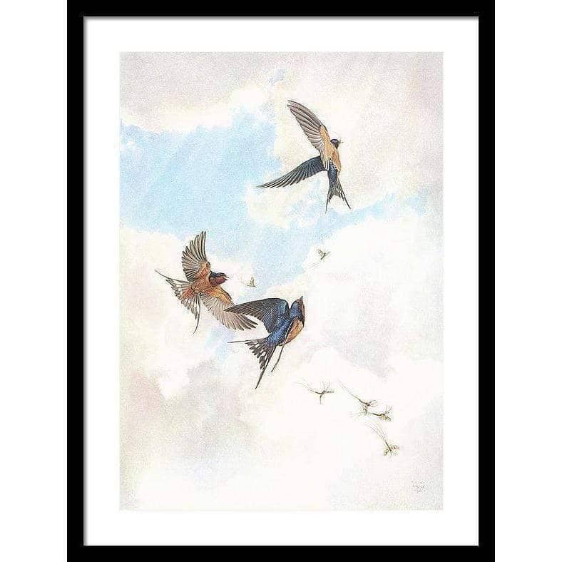 Barn Swallows - Framed Print | Artwork by Glen Loates