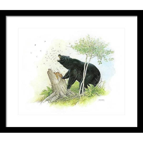 Black Bear and Honey Bees - Framed Print | Artwork by Glen Loates