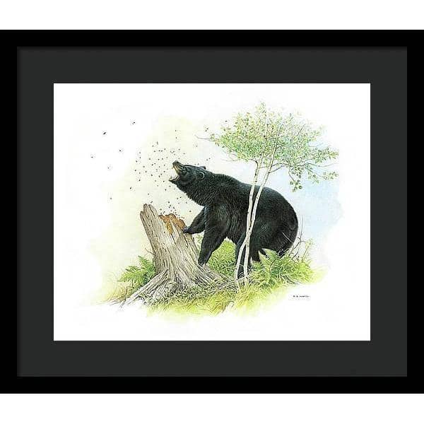 Black Bear and Honey Bees - Framed Print | Artwork by Glen Loates