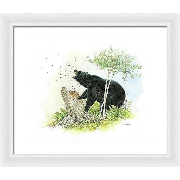 Black Bear and Honey Bees - Framed Print | Artwork by Glen Loates