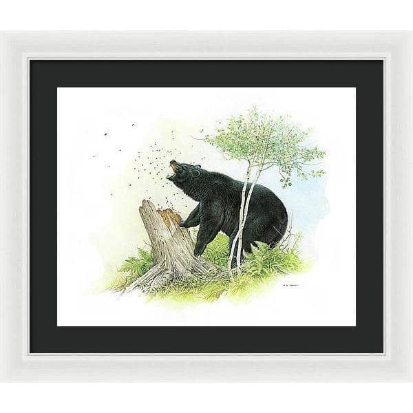Black Bear and Honey Bees - Framed Print | Artwork by Glen Loates