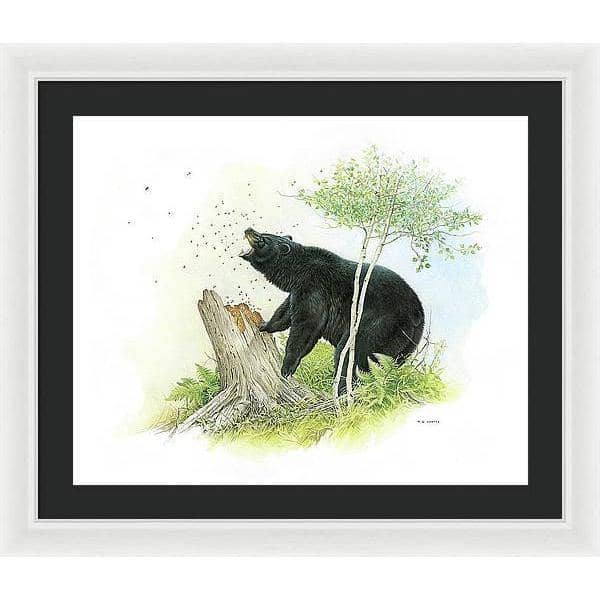 Black Bear and Honey Bees - Framed Print | Artwork by Glen Loates