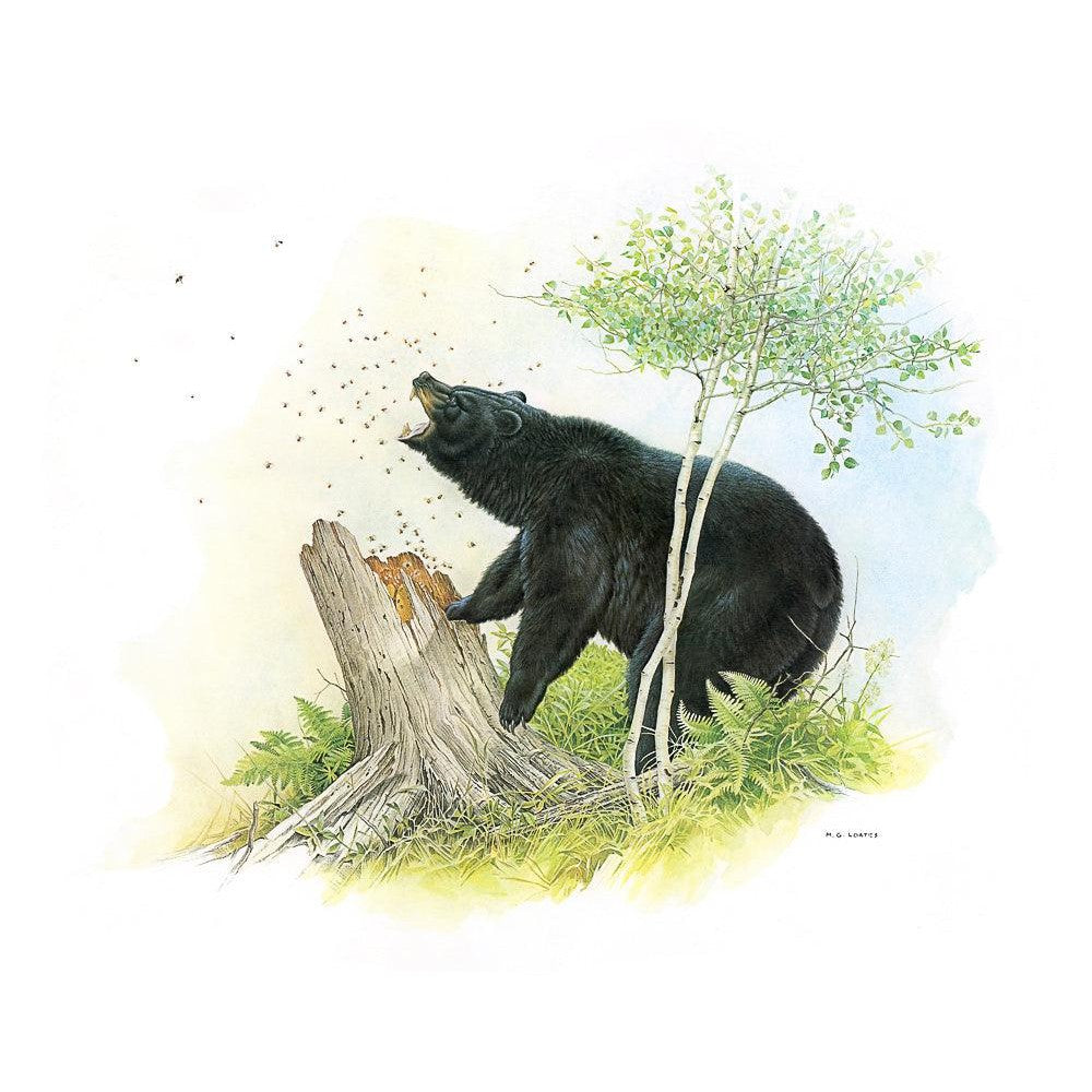 Black Bear and Honey Bees - Framed Print | Artwork by Glen Loates