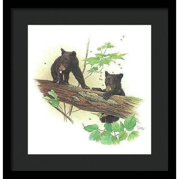 Black Bear Cubs - Framed Print | Artwork by Glen Loates