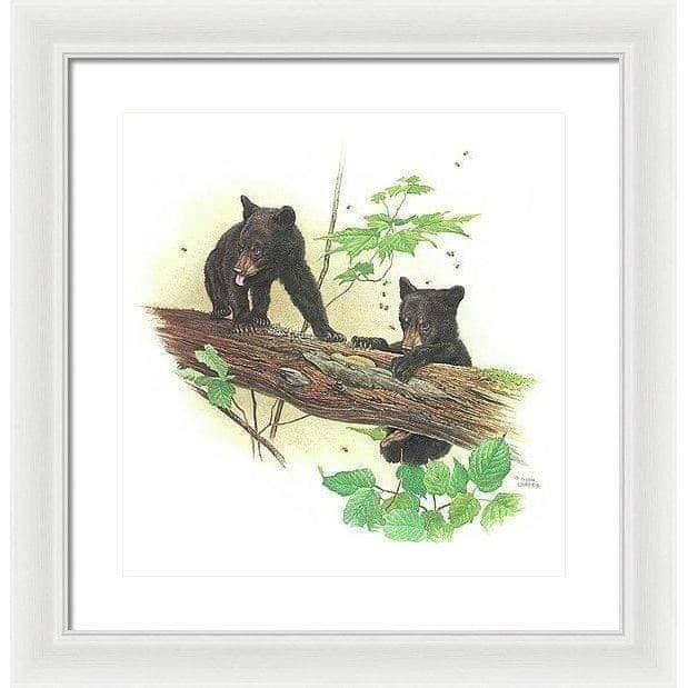 Black Bear Cubs - Framed Print | Artwork by Glen Loates