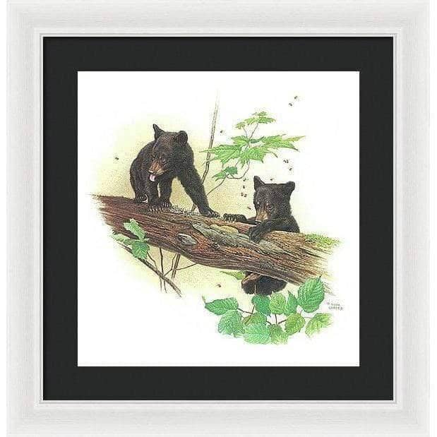 Black Bear Cubs - Framed Print | Artwork by Glen Loates