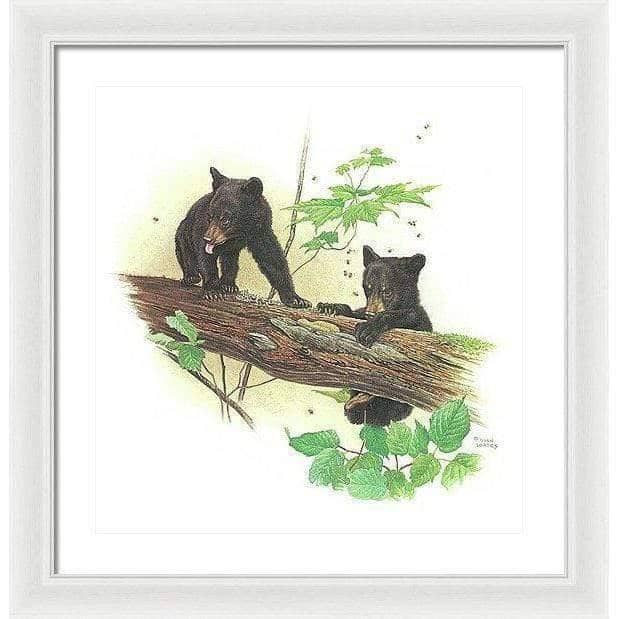 Black Bear Cubs - Framed Print | Artwork by Glen Loates