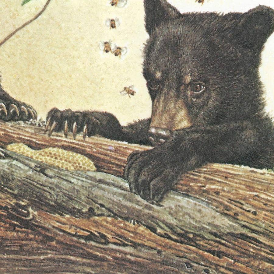 Black Bear Cubs - Framed Print | Artwork by Glen Loates