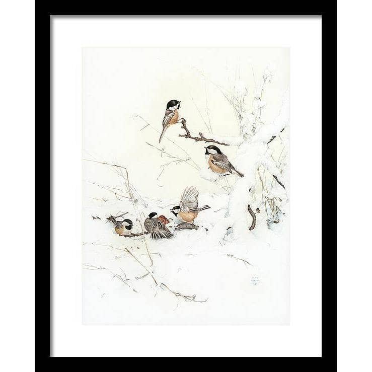 Black-Capped Chickadees - Framed Print | Artwork by Glen Loates