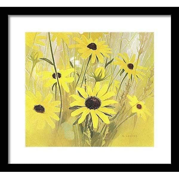 Black Eyed Susan by Glen Loates, framed piece: black-eyed Susans glowing against a warm yellow ground