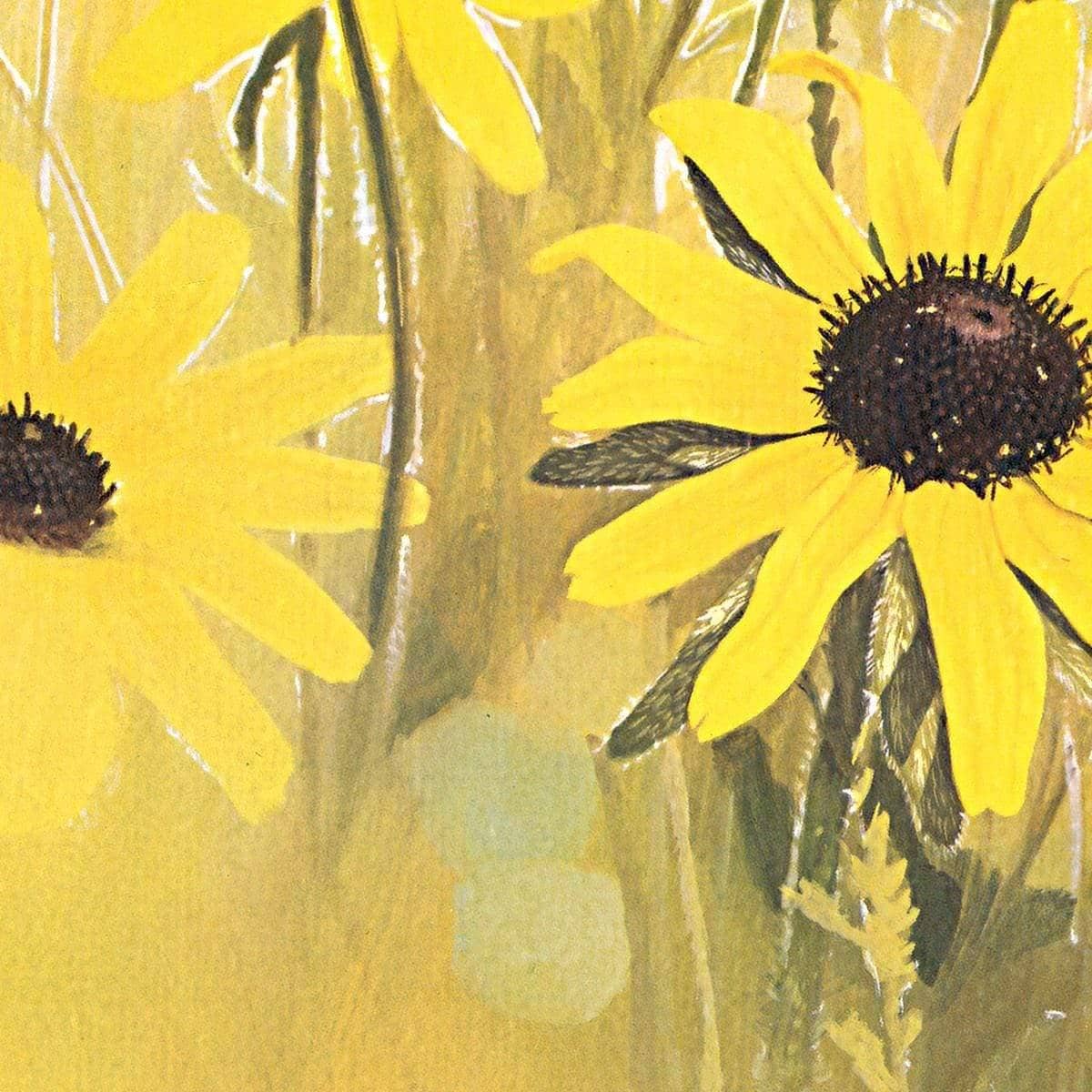 Black Eyed Susan - Framed Print | Artwork by Glen Loates
