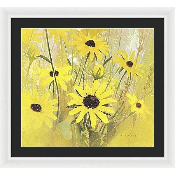 Black Eyed Susan - Framed Print | Artwork by Glen Loates