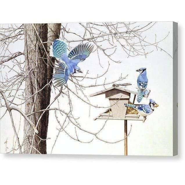 Blue Jays At My Feeder by Glen Loates, gallery canvas: blue jays gathering at a wooden feeder among bare winter trees