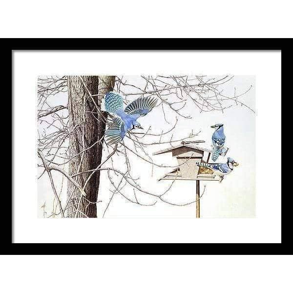 Geais bleus à ma mangeoire par Glen Loates, œuvre encadrée : des geais bleus réunis à une mangeoire en bois parmi les arbres nus de l’hiver