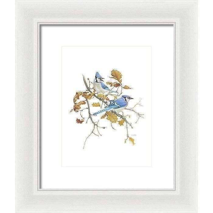 Blue Jays - Framed Print | Artwork by Glen Loates