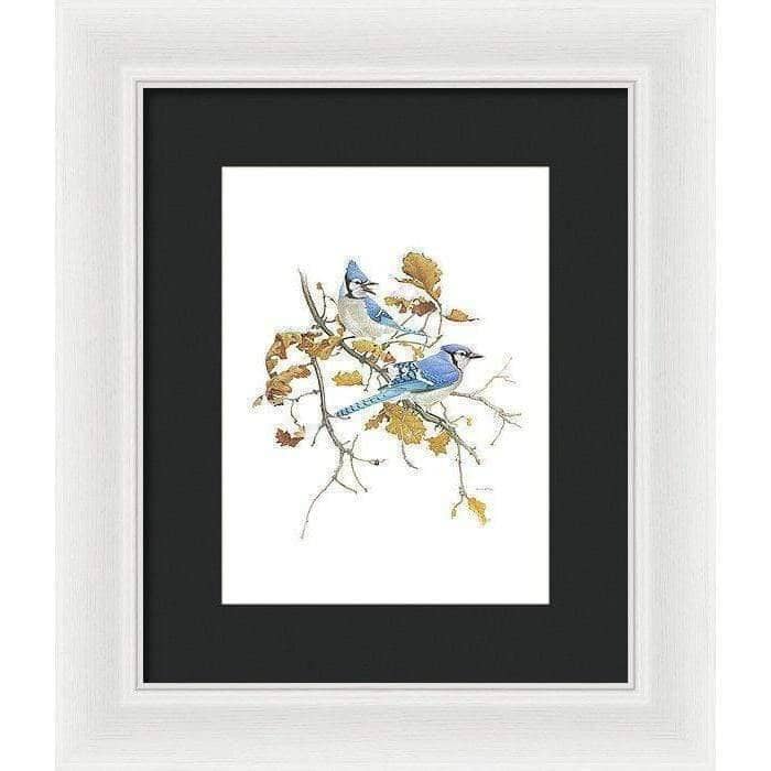 Blue Jays - Framed Print | Artwork by Glen Loates