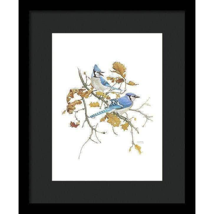 Blue Jays - Framed Print | Artwork by Glen Loates