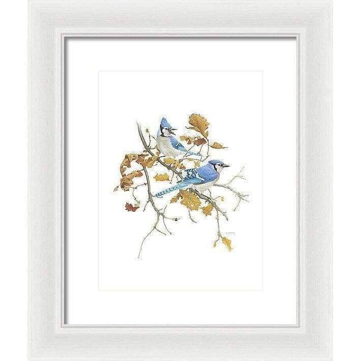 Blue Jays - Framed Print | Artwork by Glen Loates