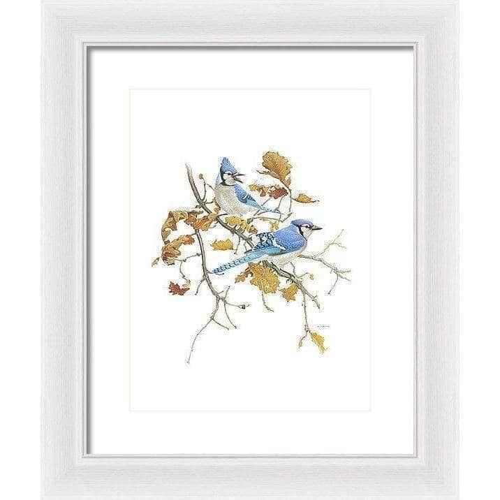 Blue Jays - Framed Print | Artwork by Glen Loates