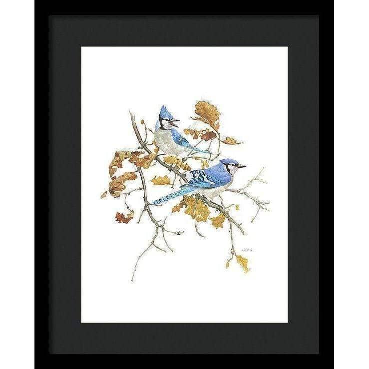 Blue Jays - Framed Print | Artwork by Glen Loates