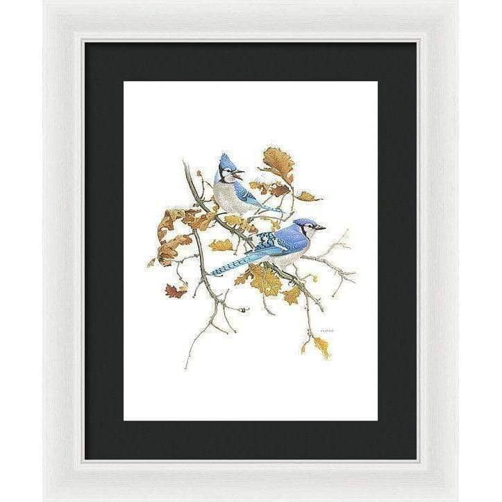 Blue Jays - Framed Print | Artwork by Glen Loates