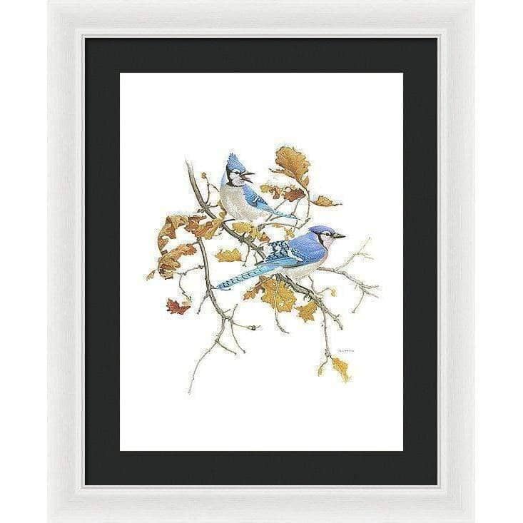 Blue Jays - Framed Print | Artwork by Glen Loates