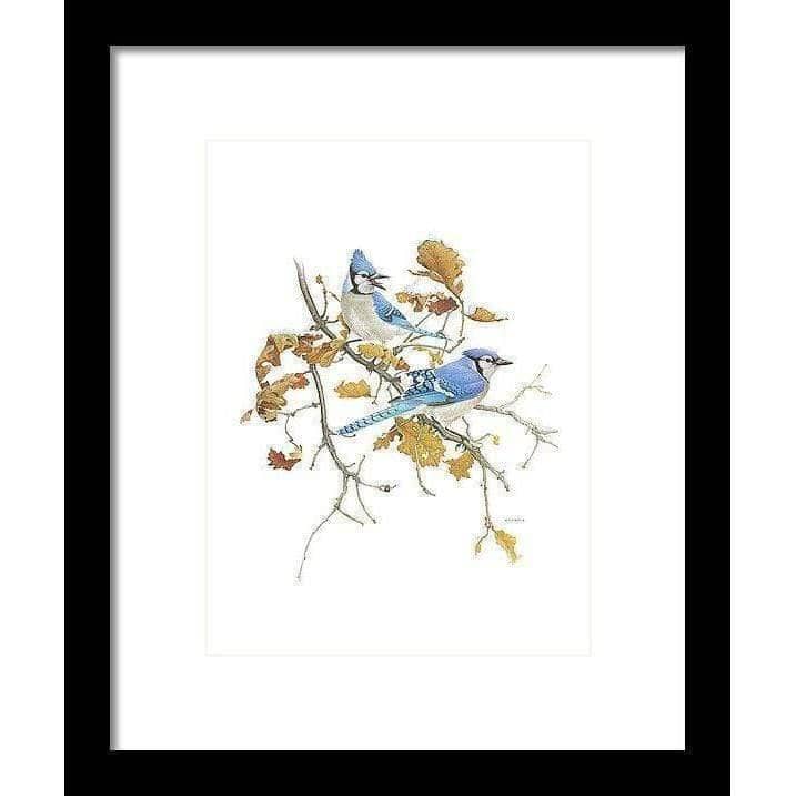 Blue Jays - Framed Print | Artwork by Glen Loates