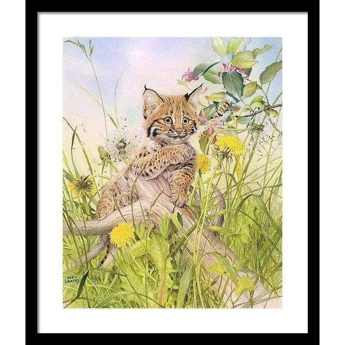 Bobcat Kitten - Framed Print | Artwork by Glen Loates