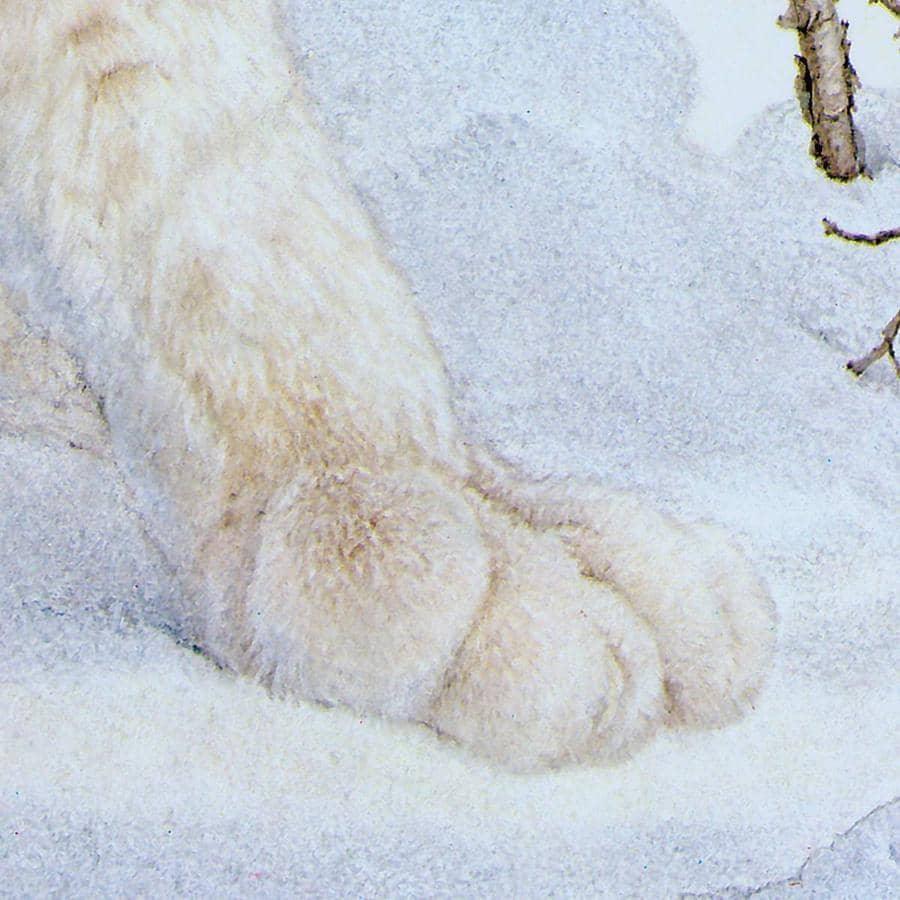 Canada Lynx - Canvas Print | Artwork by Glen Loates