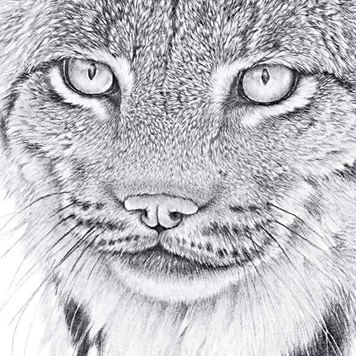 Canada Lynx Portrait - Canvas Print | Artwork by Glen Loates