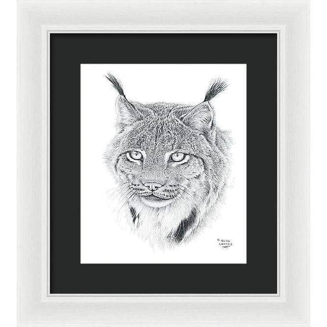 Canada Lynx Portrait - Framed Print | Artwork by Glen Loates