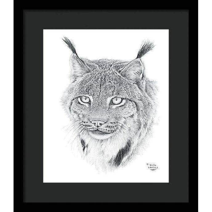 Canada Lynx Portrait - Framed Print | Artwork by Glen Loates
