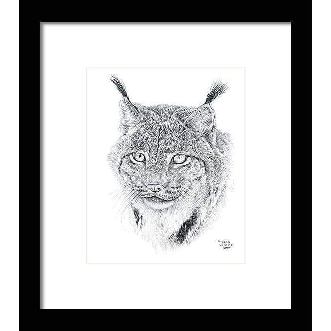 Canada Lynx Portrait - Framed Print | Artwork by Glen Loates