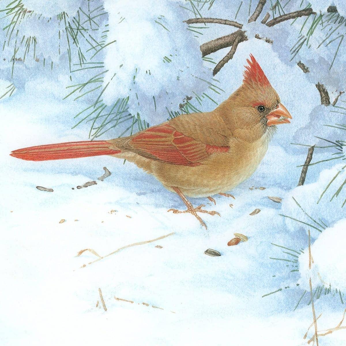 Cardinals in Snow - Canvas Print | Artwork by Glen Loates