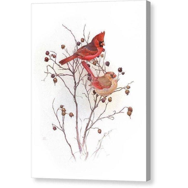 Cardinals on Rosehip Bush - Canvas Print | Artwork by Glen Loates
