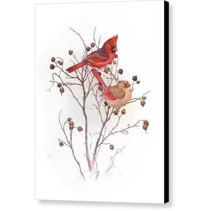 Cardinals on Rosehip Bush by Glen Loates, gallery canvas with black wrapped edges