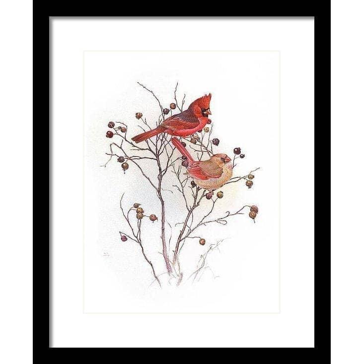 Cardinals on Rosehip Bush - Framed Print | Artwork by Glen Loates