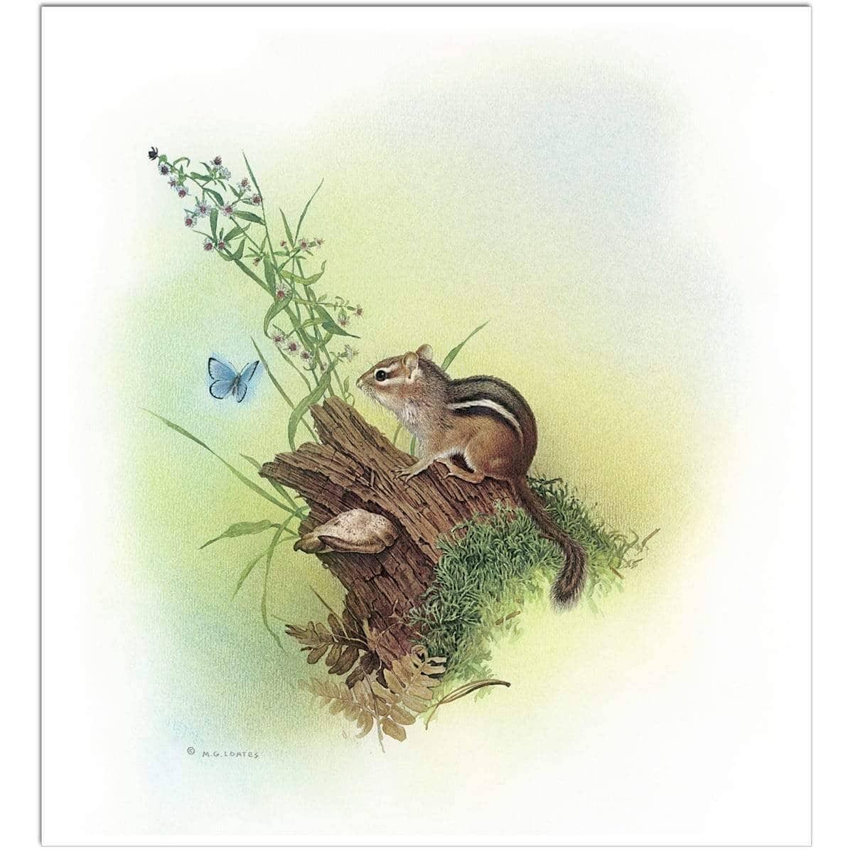 Chipmunk and Woodland Blue Butterfly Enhanced - Original | Artwork by Glen Loates