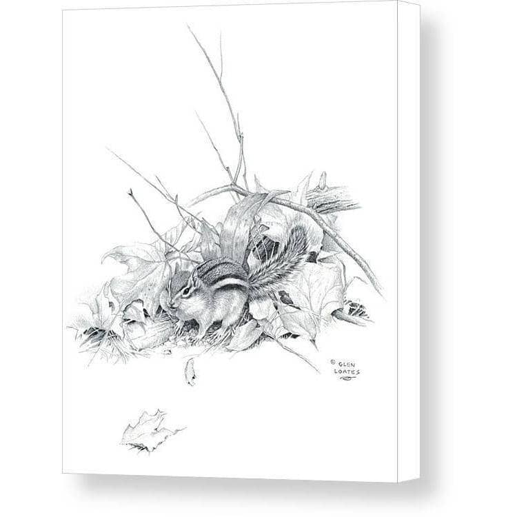 Chipmunk by Glen Loates, gallery canvas: a pencil drawing of a chipmunk among fallen leaves