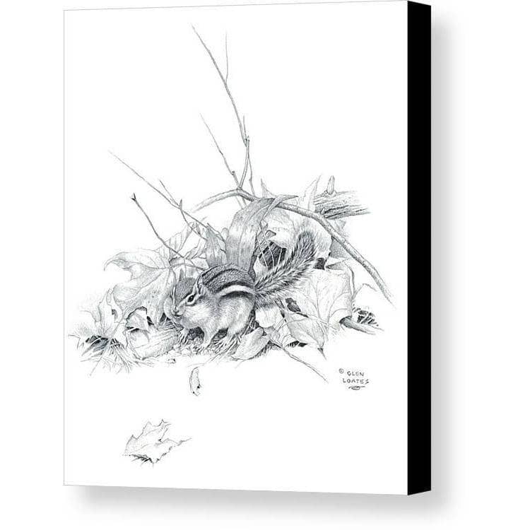 Chipmunk by Glen Loates, gallery canvas with black wrapped edges