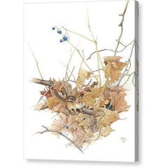 Gallery Canvas