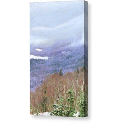 Gallery Canvas