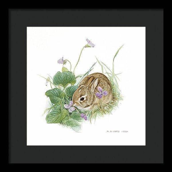 Cottontail Bunny with Violet - Framed Print | Artwork by Glen Loates