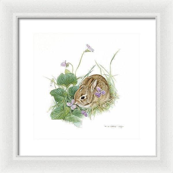 Cottontail Bunny with Violet - Framed Print | Artwork by Glen Loates