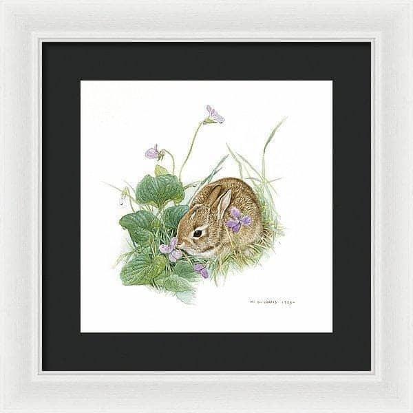 Cottontail Bunny with Violet - Framed Print | Artwork by Glen Loates